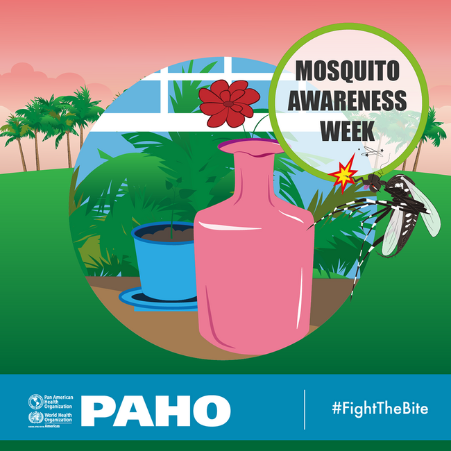 Mosquito awareness week 2018-2019: Postcard for social media - Vases - PAHO/WHO | Pan American ...
